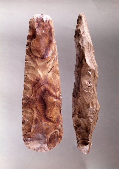 Gereedschappen van Campigny door Prehistoric